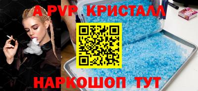 стаф Кингисепп