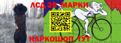 стаф Кингисепп