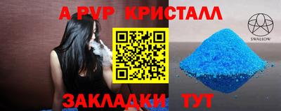 стаф Кингисепп