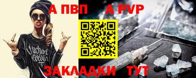 стаф Кингисепп