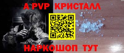 стаф Кингисепп