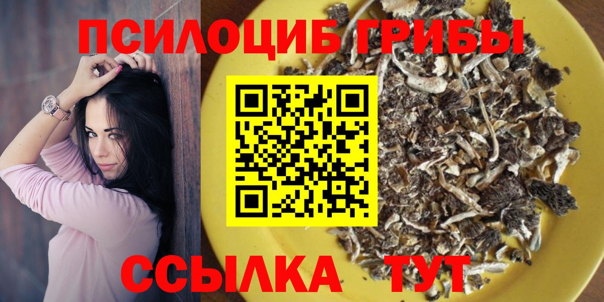 Курчалой  Галлюциногенные грибы MAGIC MUSHROOMS  купить  цена  Вход с VPN 